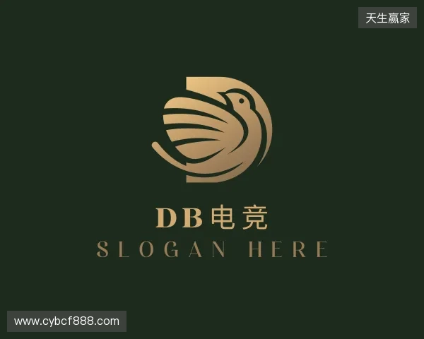 解读DB真人电竞